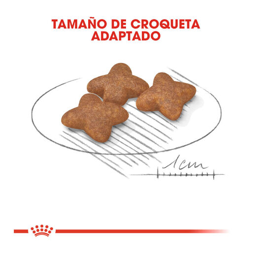 Royal Canin Mini Adult pienso para perros, , large image number null